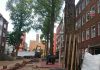 ‘Bomen Cabralstraat onveilig’