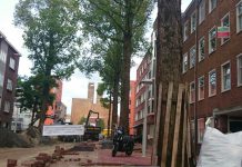 ‘Bomen Cabralstraat onveilig’