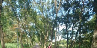 Column Martine: Rennen zonder rukkers