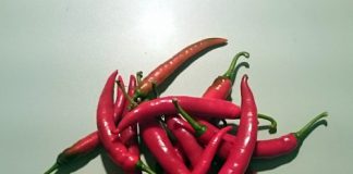 Column Martine: Mag ik weer naar de AH?