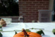 Column Linda: Spinnensoep en heksensnot