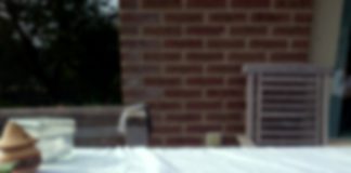 Column Linda: Spinnensoep en heksensnot