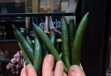 Voedselbank zoekt vrijwilligers