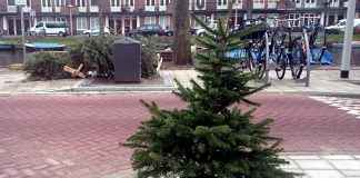 Drink een biertje, plant een boom