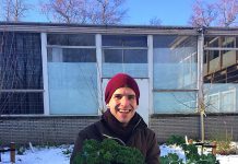 Boerenkool uit de Kolenkitbuurt