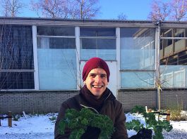 Boerenkool uit de Kolenkitbuurt