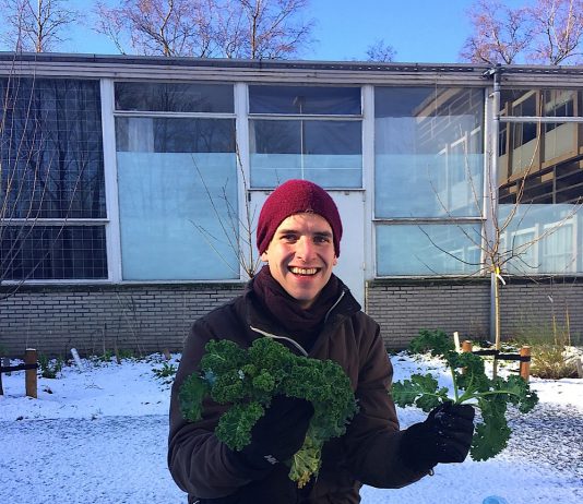 Boerenkool uit de Kolenkitbuurt