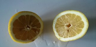 Gezocht: een plek voor verloren zielen