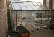 Nieuw leven in Kas Keerweer