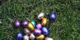 Eieren zoeken en feesten