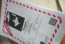 Wat er gebeurt als je je kat kwijt bent