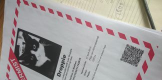 Wat er gebeurt als je je kat kwijt bent