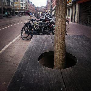 benauwde boom Kinkerstraat