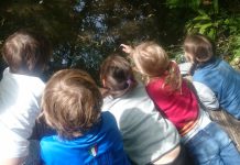 Kikkers spotten in de Slatuinen