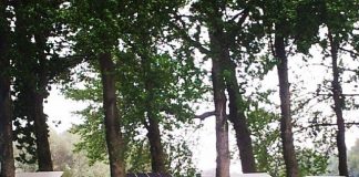 Nieuw onderdak voor Hotel Buiten