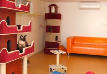 Hij kreeg zelfs verkering