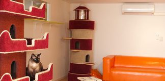 Hij kreeg zelfs verkering