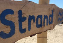 Dok Amsterdam nu al een hit