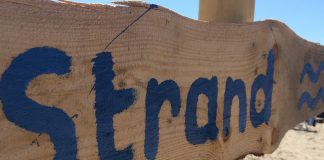 Domper voor strandplan Houthaven: water niet schoon