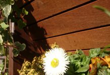 Iedereen ‘op de tuin’