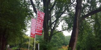 Agenda: zonder schoenen