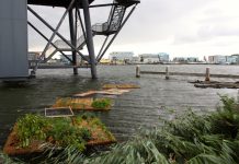 Eigen eilandje in Houthavens