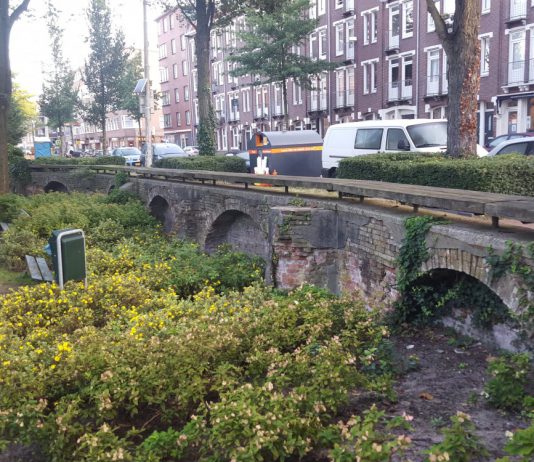 ‘100% groen Domelaplantsoen’