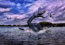 Het Monster van de Sloterplas