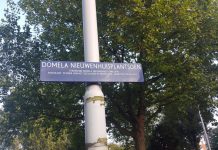 Wat te doen met het Domelaplantsoen?