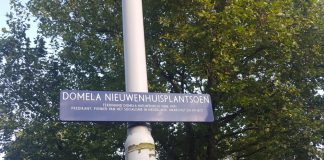 Wat te doen met het Domelaplantsoen?