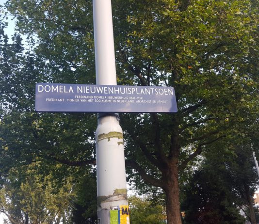 Wat te doen met het Domelaplantsoen?