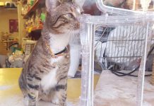 Geen houden meer aan