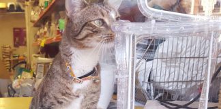 Geen houden meer aan