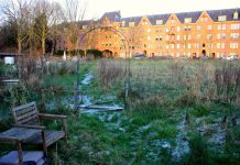 Meepraten woningbouw bij Brediusbad