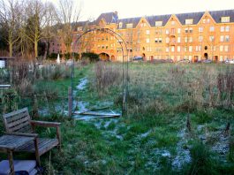 Meepraten woningbouw bij Brediusbad