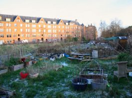 ‘Groen, geen woningbouw bij Brediusbad’