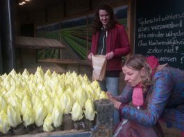 Moestuinseizoen geopend