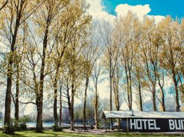 7 x Boot en borrelen