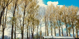 7 x Boot en borrelen