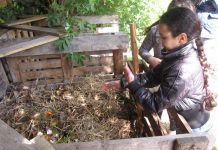 Bolo verzamelt GFT-afval zelf