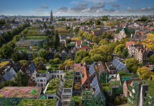 Meer daktuinen in West