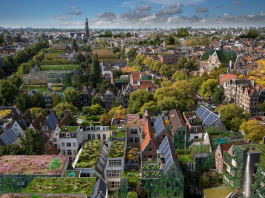 Meer daktuinen in West