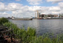 Jonge vis kan schuilen