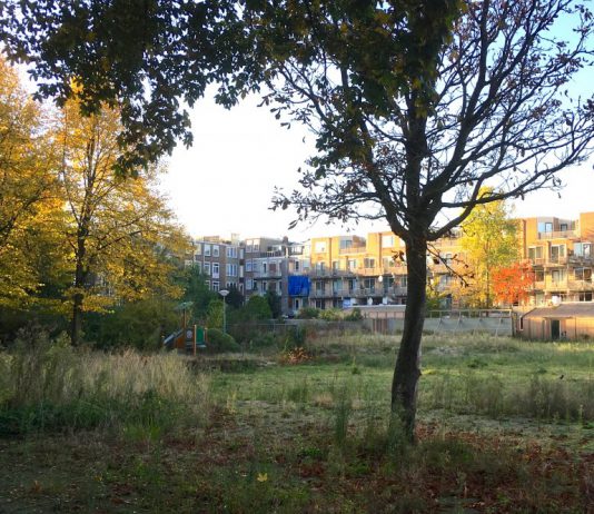 Heijmans gekozen voor nieuwbouw