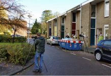 Zeldzame pestvogel gesignaleerd