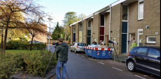 Zeldzame pestvogel gesignaleerd