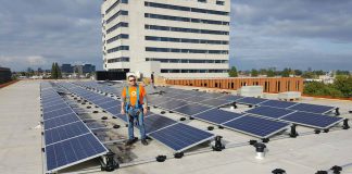 Grootste zonnedak in Westpoort