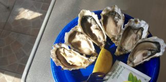 Uitbrakken op Nieuwjaarsdag oesters