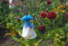 Plein met fontein in Rembrandtpark