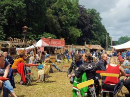 Freezone festivals in haven?